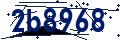 Código de seguridad