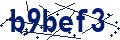 Código de seguridad