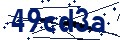 Código de seguridad
