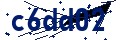 Código de seguridad
