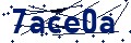 Código de seguridad
