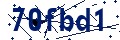 Código de seguridad