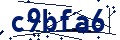 Código de seguridad