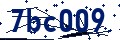 Código de seguridad