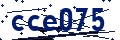 Código de seguridad