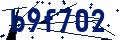 Código de seguridad