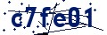 Código de seguridad