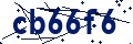 Código de seguridad