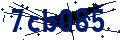 Código de seguridad