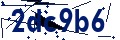 Código de seguridad