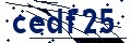 Código de seguridad