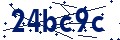Código de seguridad