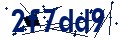 Código de seguridad