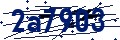 Código de seguridad