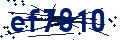 Código de seguridad