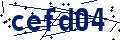 Código de seguridad