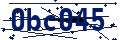 Código de seguridad
