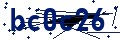 Código de seguridad