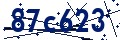 Código de seguridad
