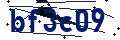 Código de seguridad