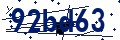 Código de seguridad
