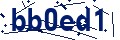 Código de seguridad