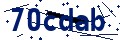 Código de seguridad