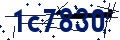 Código de seguridad