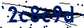Código de seguridad