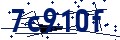 Código de seguridad