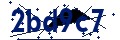 Código de seguridad
