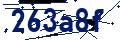 Código de seguridad