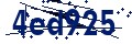 Código de seguridad