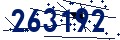 Código de seguridad