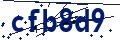 Código de seguridad