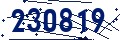 Código de seguridad