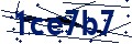 Código de seguridad