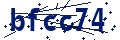 Código de seguridad