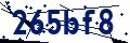 Código de seguridad