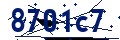 Código de seguridad