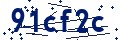 Código de seguridad