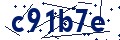 Código de seguridad