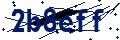 Código de seguridad