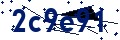 Código de seguridad