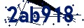 Código de seguridad