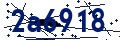 Código de seguridad