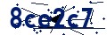 Código de seguridad