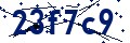 Código de seguridad