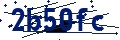 Código de seguridad