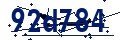 Código de seguridad